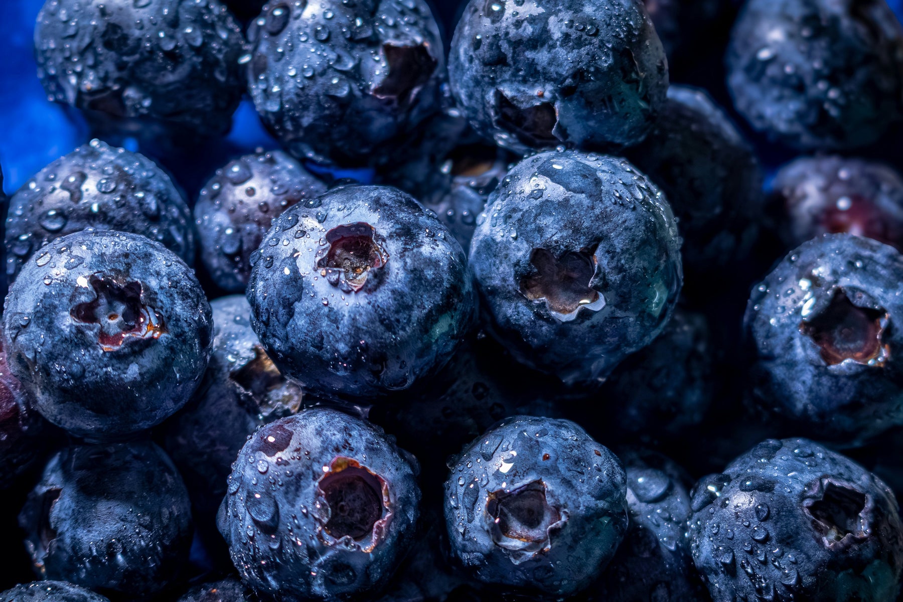 Best Blueberry Jam Recipe for Canning at Home